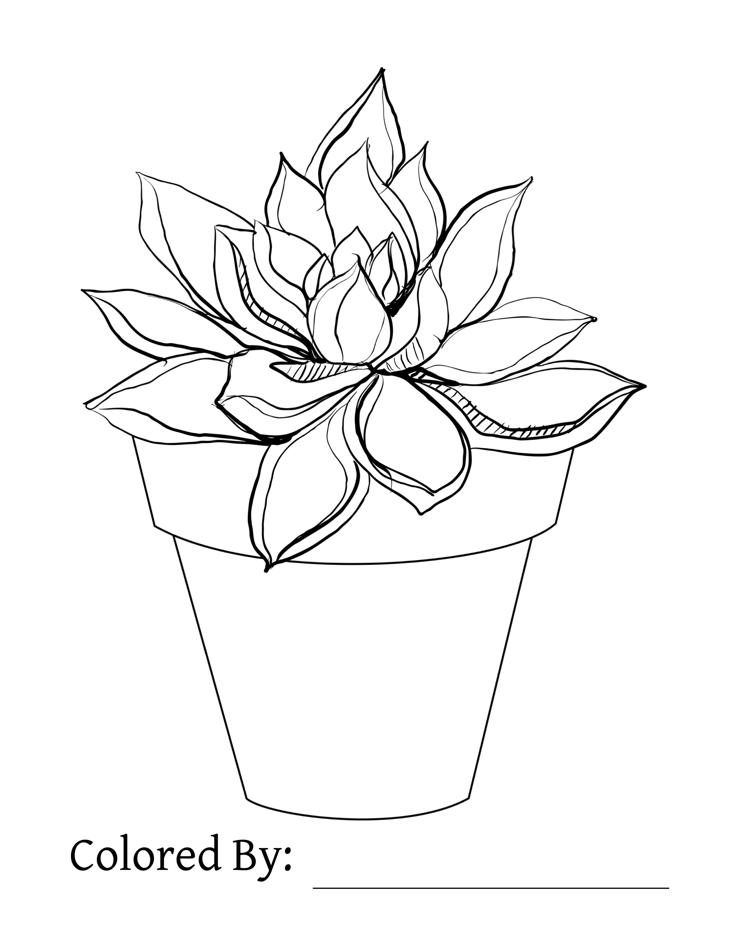 Succulent Coloring Sheet Coloring Pages