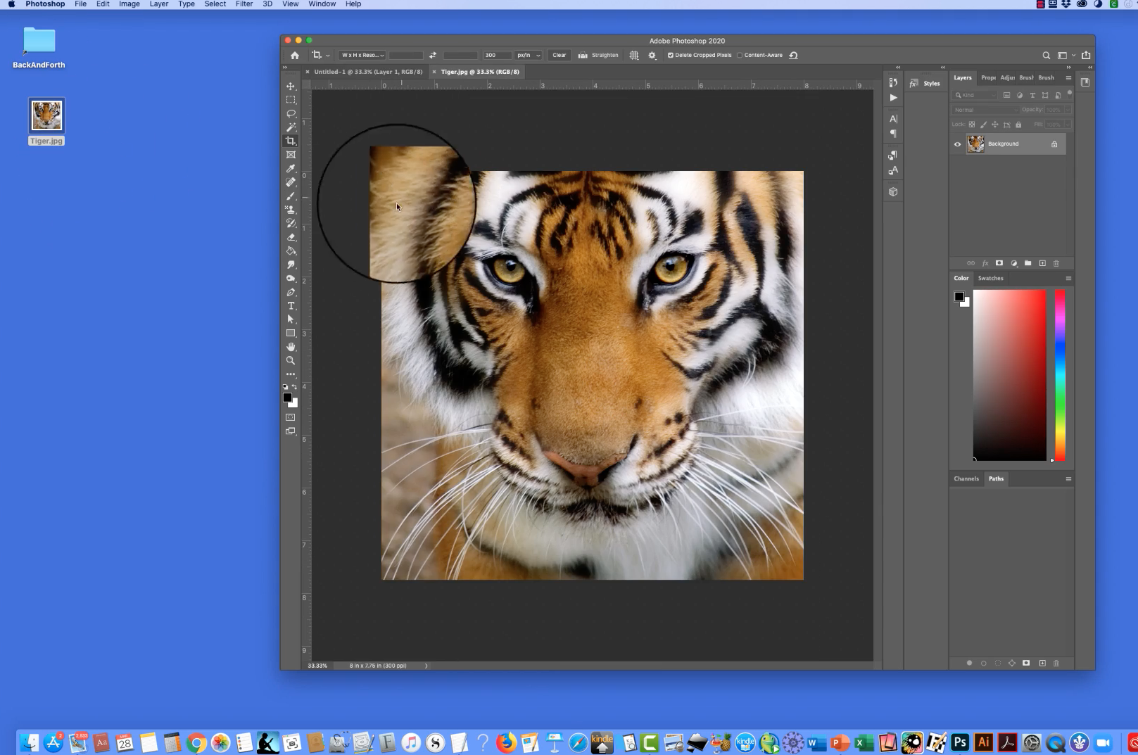 ColoredImageTo ColoringPageGraphic